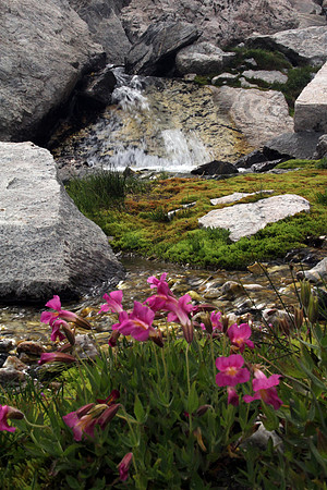 Garnet Canyon @ the base of the Middle and Grand