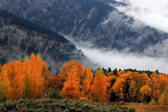 The Misty Mountains