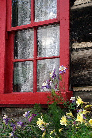 A study in columbines