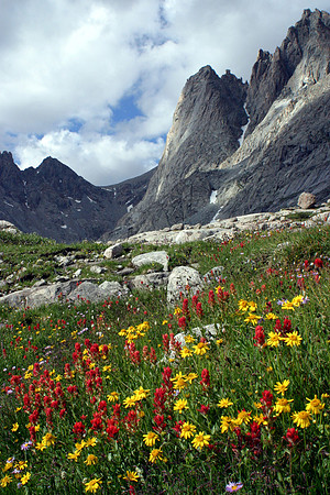 In Titcoomb Basin of the Wind River mountains