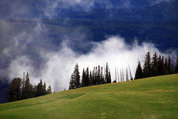 Up on the Yellowstone River rim