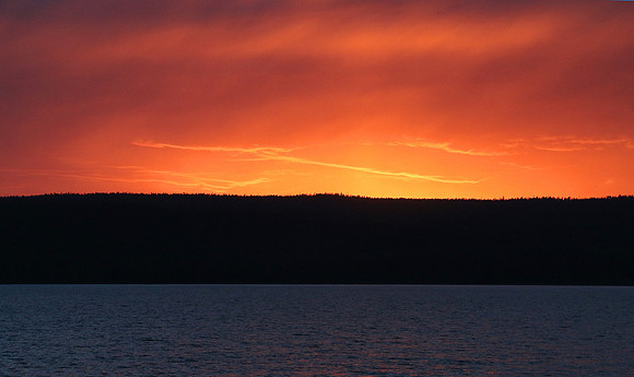 Yellowstone Lake surprise