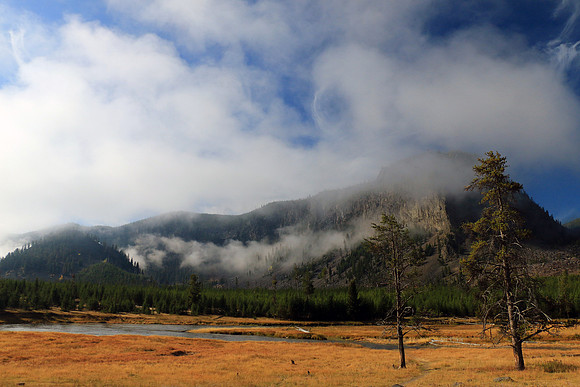 Along the Madison River
