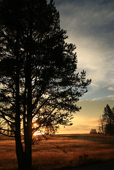 Lake Yellowstone Sunrise