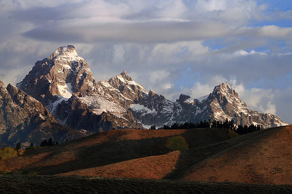 Bronze & Platinum Tetons