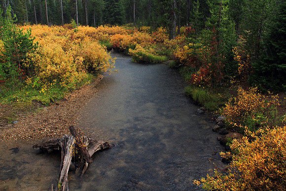 Flagg Ranch Road, WY