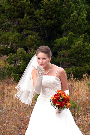 Stanley Hotel Wedding