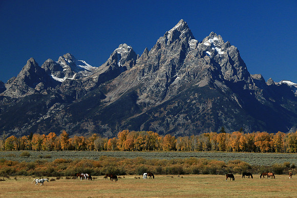 Triangle X Ranch @ The Tetons