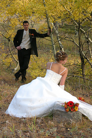 Stanley Hotel Wedding
