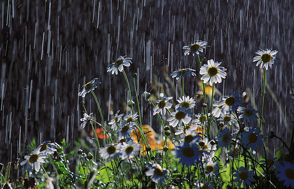 Rain and Sun